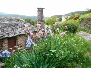 Gîte Maison Cavalier 2/4 personnes à Gabriac - Barre-des-Cévennes
