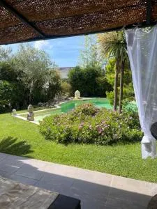 Le flamant rose - Le Rove