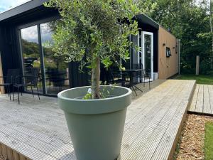 Chalet de Blauwe regen