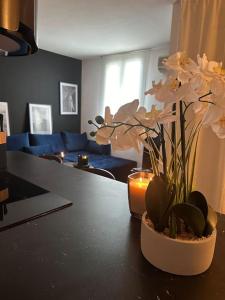 Appartement neuf et rénové promenade des anglais