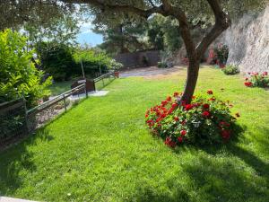 Kallithea