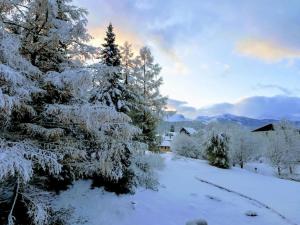 Appartements Grand studio 34 m2 a Villard de Lans proche Centre : photos des chambres