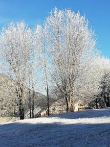 Appartements Grand studio 34 m2 a Villard de Lans proche Centre : photos des chambres