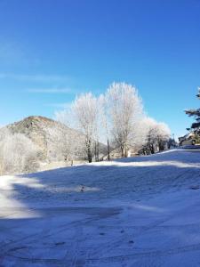 Appartements Grand studio 34 m2 a Villard de Lans proche Centre : photos des chambres