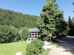 Appartements Grand studio 34 m2 a Villard de Lans proche Centre : photos des chambres