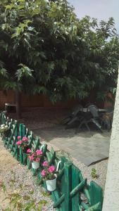 Appartements La tortue : photos des chambres