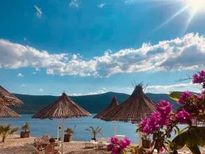 Feral Beach - Putniković