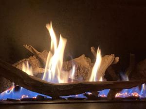 De Ijzerstilte - The Yser Silence - Le silence de lYser - Die Yserstille