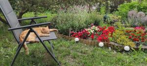 Segment rodzinny Stara Szkoła