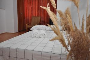 Lara Studio Craiovei