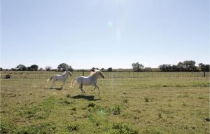 Campings Amazing Stacaravan In Franquevaux : photos des chambres