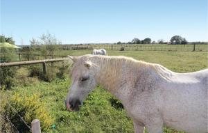 Campings Amazing Stacaravan In Franquevaux : Mobile Home