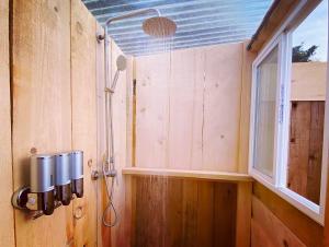 The Whale