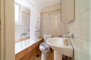 CACTUS - Blooming Garden Apartments