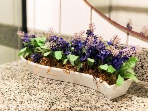 APÊ S-09 - APTO. COMPLETO NA MELHOR LOCALIZAÇÃO DA PONTA VERDE