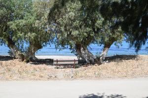 Kythnos Seaside House Flampouria