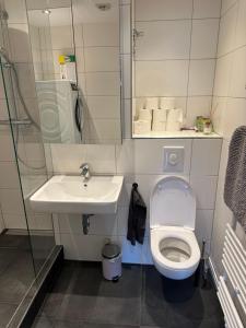 Newly renovated apartment in ideal location