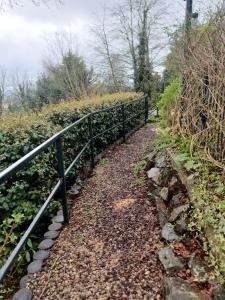 Jasmine cottage-1 King bed room, 40 mins to Cotswolds 90 mins to Oxford and Bath