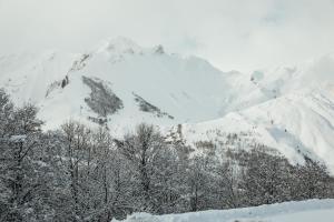 Chalets Joubarbe Rose by Lodji : photos des chambres