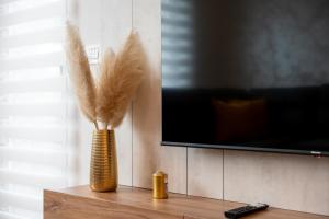 Apartman Central Residence 28