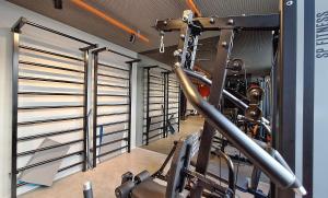 Nik Alves Guimarães