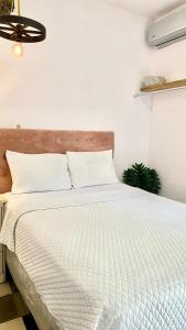 Velvet hotel centro histórico