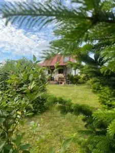 Krecia Dolina - Kaszubskie Wzgórza - Neu Kolziglow