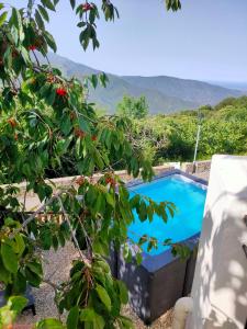 Maisons de vacances Maison Corse avec piscine et sauna - La Casa Lilia : photos des chambres