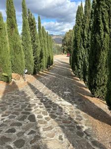 Le Case di Cardellino - AgriSpa