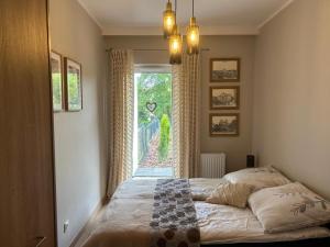 Apartament Słoneczna polana