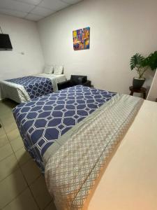 Velvet hotel centro histórico