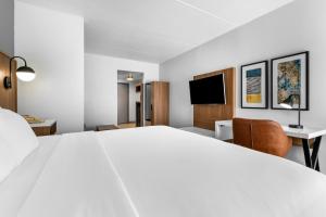 King Room - Non-Smoking room in Comfort Inn & Suites York