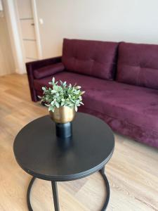 Boho Apart by DreamAp