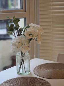 Cozy studio near Kings Cross