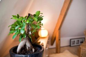 ADORABLE PETIT LOFT CLIM WIFI au pied de la cité