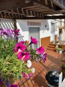 Dalla Fede - Montarice