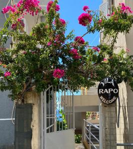 Vila Rapo - 3hvězdičkové hotely ve městě Himarë