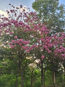 Casa Temporada Oasis no Sertão - Ubytování bez kategorie ve městě Triunfo