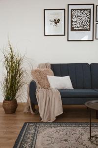 Pablo Apartment in Cesis