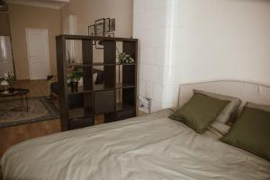 Pablo Apartment in Cesis