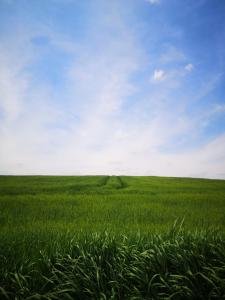 Apartma Moravske Toplice - Trobentica 28