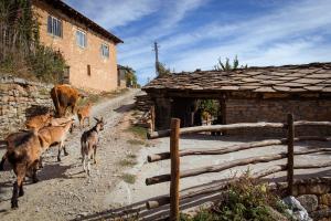 Porodična kuća Vitina Iža