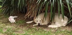 Agriturismo La Talpa