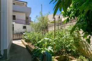 Apartment Podstrana 17586b