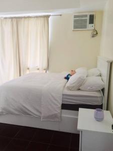 Lovely two bedroom apartment with balconies