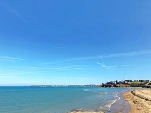 Appartement T2 avec ascenseur, hypercentre, à 50m de la plage, WIFI, TV connectée, linge en option - FR-1-361-4