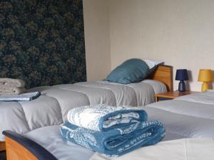 Maison avec jardin clos et terrasse couverte en Touraine, proche des châteaux et nature préservée. - FR-1-381-574