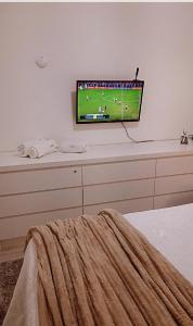 Apartamento compartilhado comigo mais 2 felinos