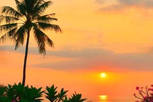 Rayyana 1 BR Quirky Garden Room Double JU49