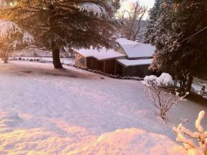 Pine Hill Cottage - shabby chic & peaceful haven